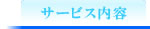 �T�[�r�X���e